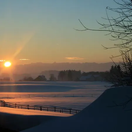Im Hinterland Vom Bodensee Vogt